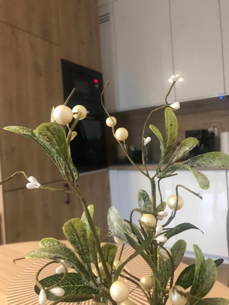 Apartament Kameralis Old Town - Klimatyzacja - Balkon - Winda Elblag Bagian luar foto